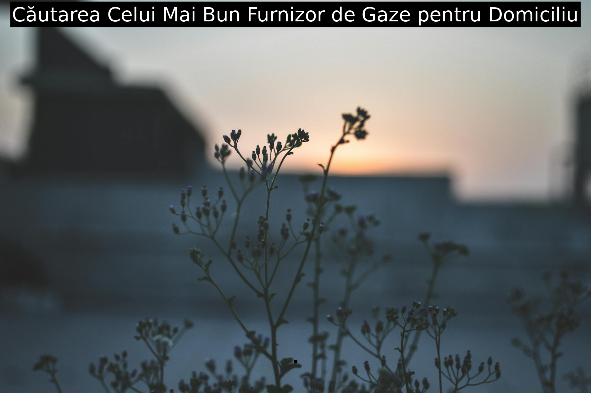 Căutarea Celui Mai Bun Furnizor de Gaze pentru Domiciliu