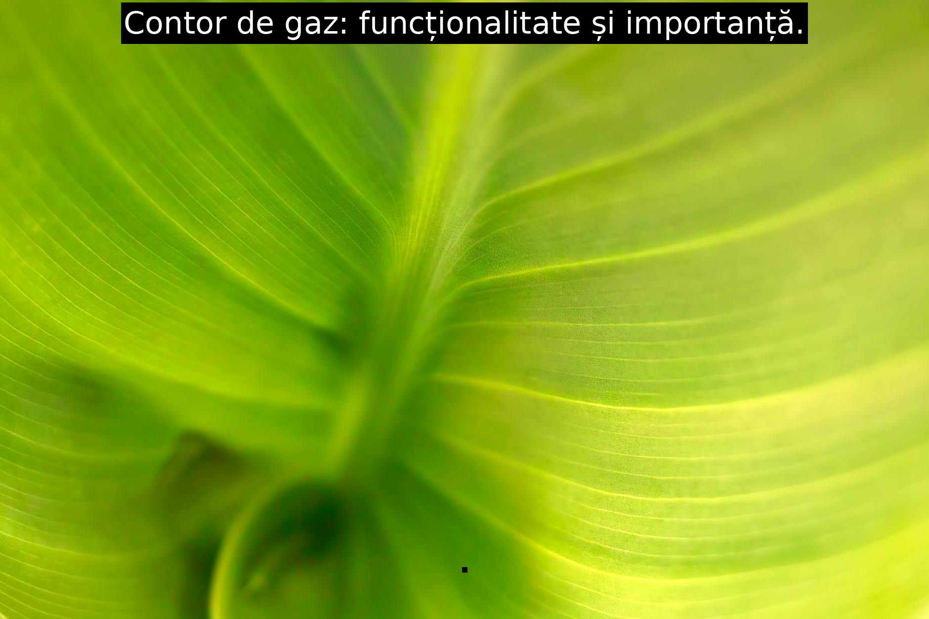 Contor de gaz: funcționalitate și importanță.