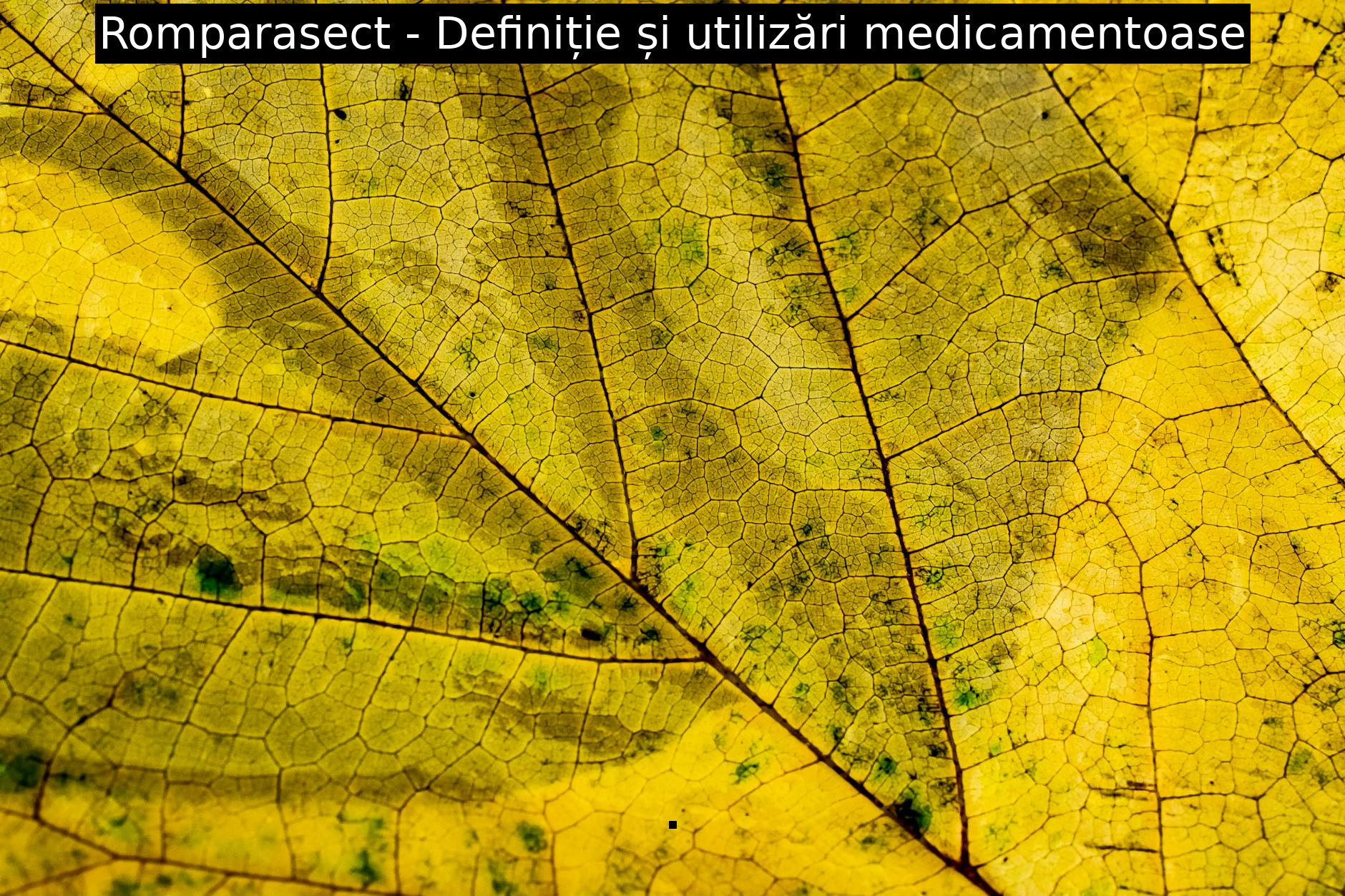 Romparasect – Definiție și utilizări medicamentoase