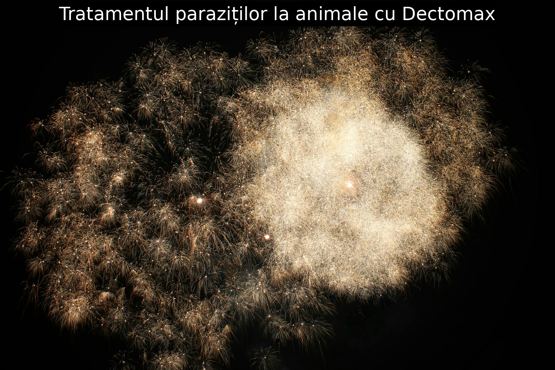 Tratamentul paraziților la animale cu Dectomax