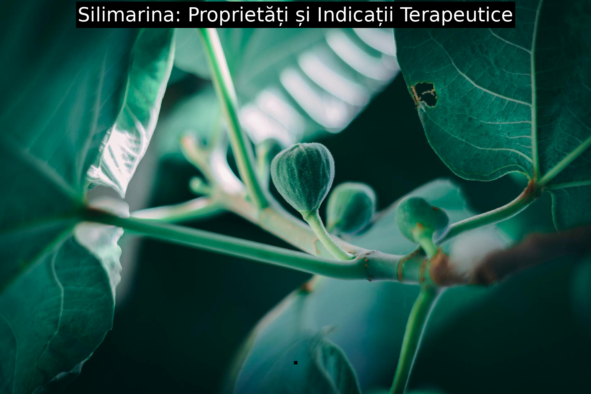 Silimarina: Proprietăți și Indicații Terapeutice