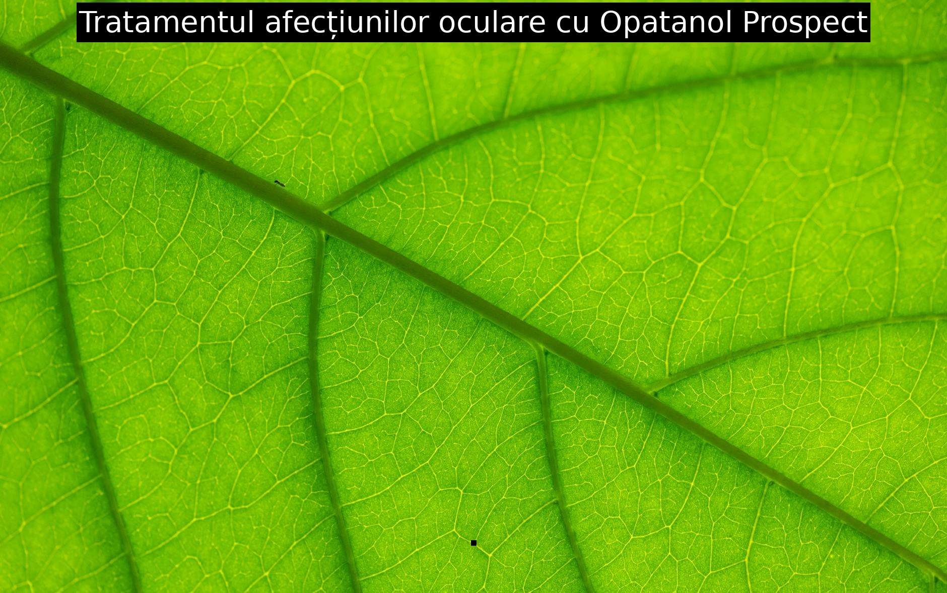 Tratamentul afecțiunilor oculare cu Opatanol Prospect