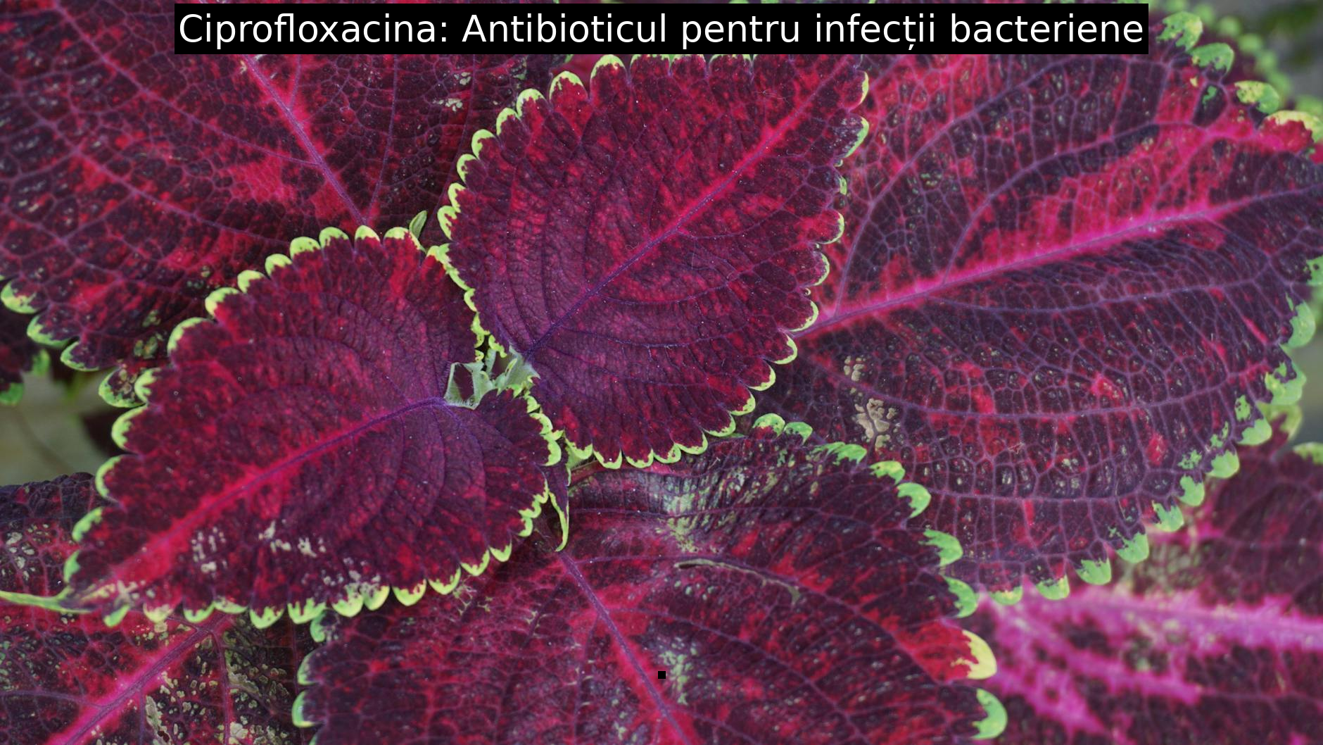 Ciprofloxacina: Antibioticul pentru infecții bacteriene