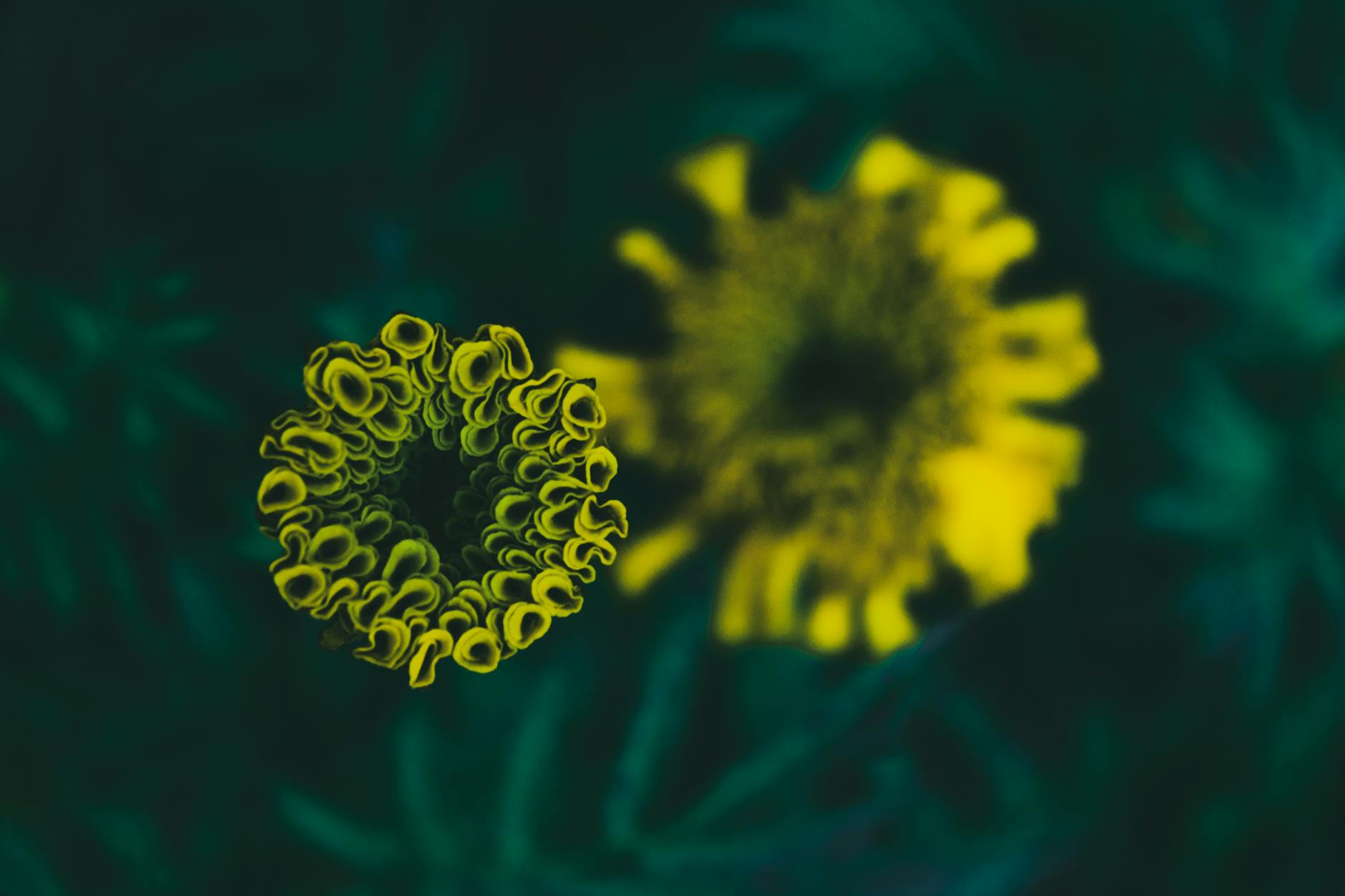 Durerea de vagin: Cauze, Simptome și Tratament.