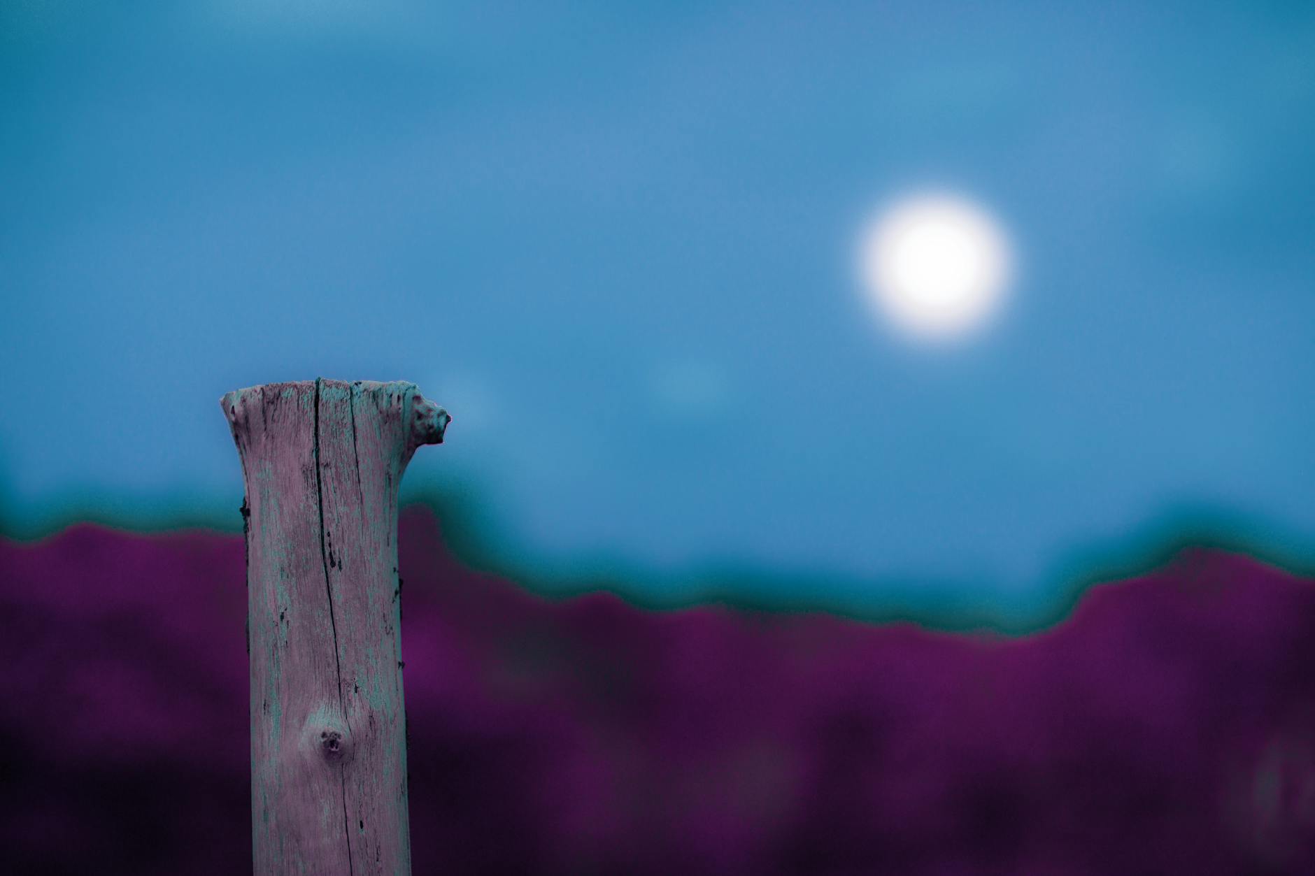 Cum să utilizați notitele Instagram pentru a vă îmbunătăți strategia de marketing.