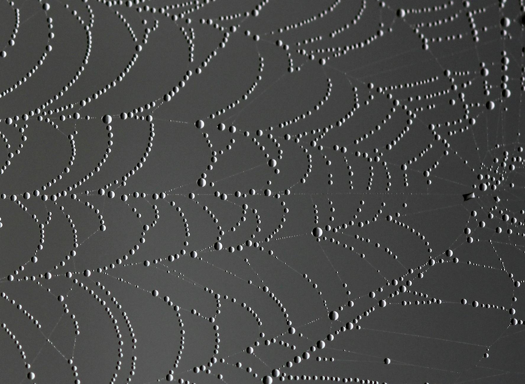 Ce înseamnă să visezi despre cancer și cum să îl interpretezi.